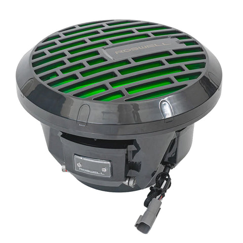 Roswell Rma 10" Subwoofer Black